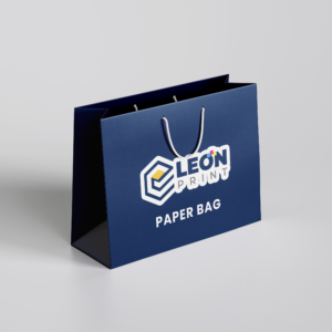 Shopping Paper Bag Custom Printing